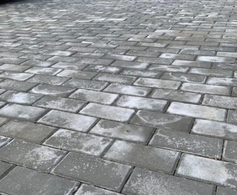 Высолы на тротуарной плитке